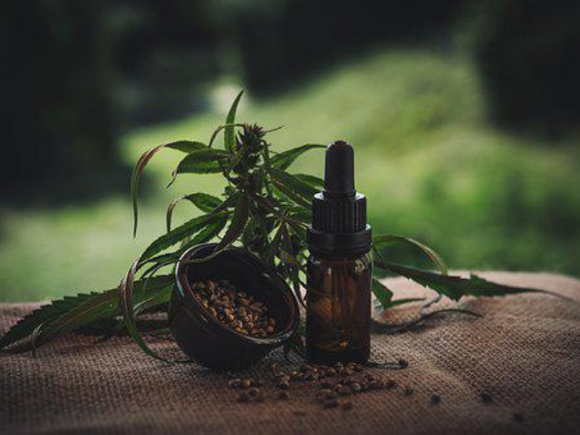 cbd oil with hemp leaves